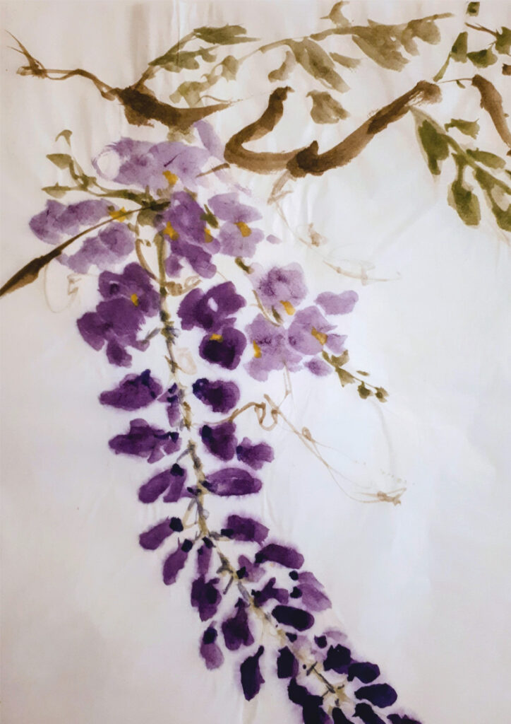 encre de Chine, sumi-e, glycine, vegetal, stage, atelier, Gironde, Langon, zen, maitre coréen, peindre, art ancestral, art en conscience, art, bien-être