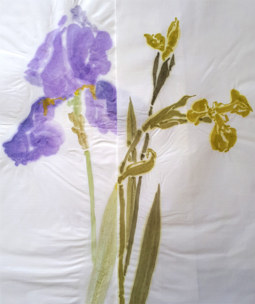 iris,sumi-e,encre de chine,stage,atelier,gironde