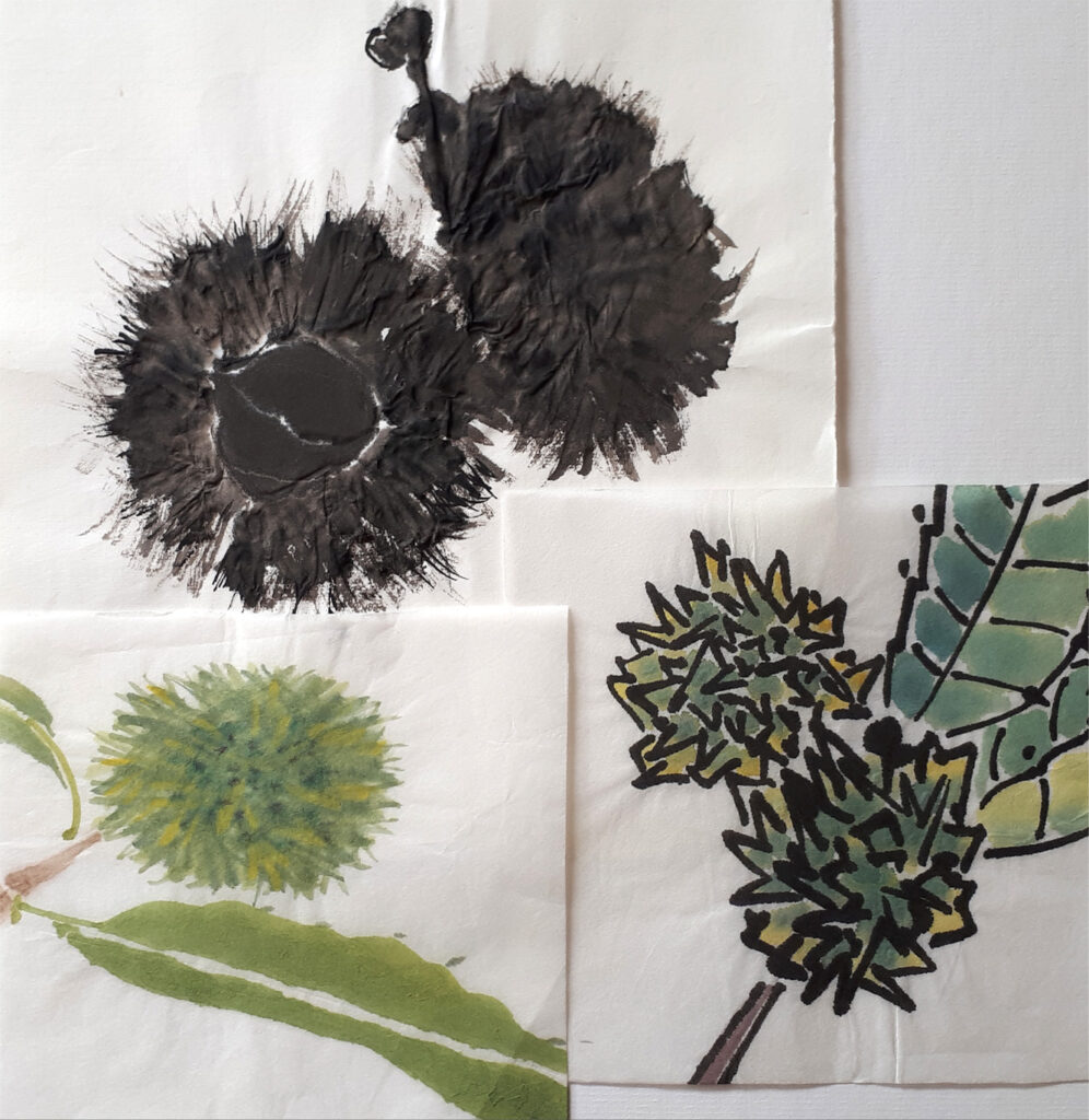 sumi-e-encre-de-chine-langon-gironde-france-chataignes