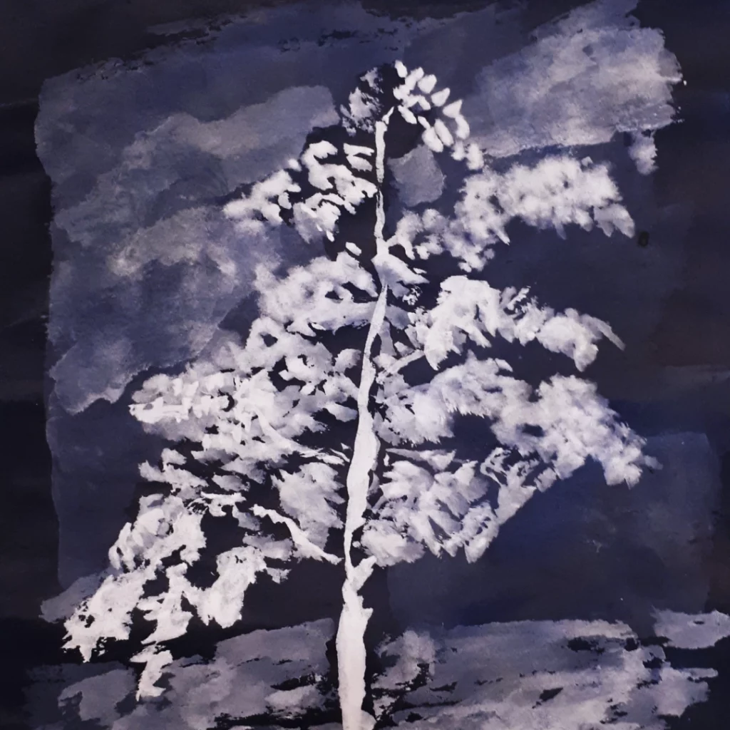 atelier-amarillo-dessin-encre-arbre arbre peint à l'encre de Chine blanche sur papier noir à l'Atelier Amarillo à Langon