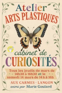 Une affiche illustrée présente un atelier mixed média animé par l'artiste Marie Goulard sur le thème du cabinet de curiosités